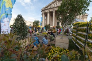 une jonquille pour Curie