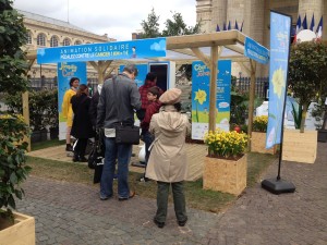 une jonquille pour Curie