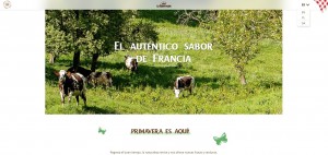 sites internet le rustique international