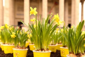 Ensemble, continuons à porter l’espoir contre le cancer