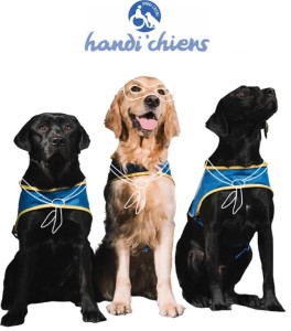 Handi'Chiens et Boehringher hingelheim