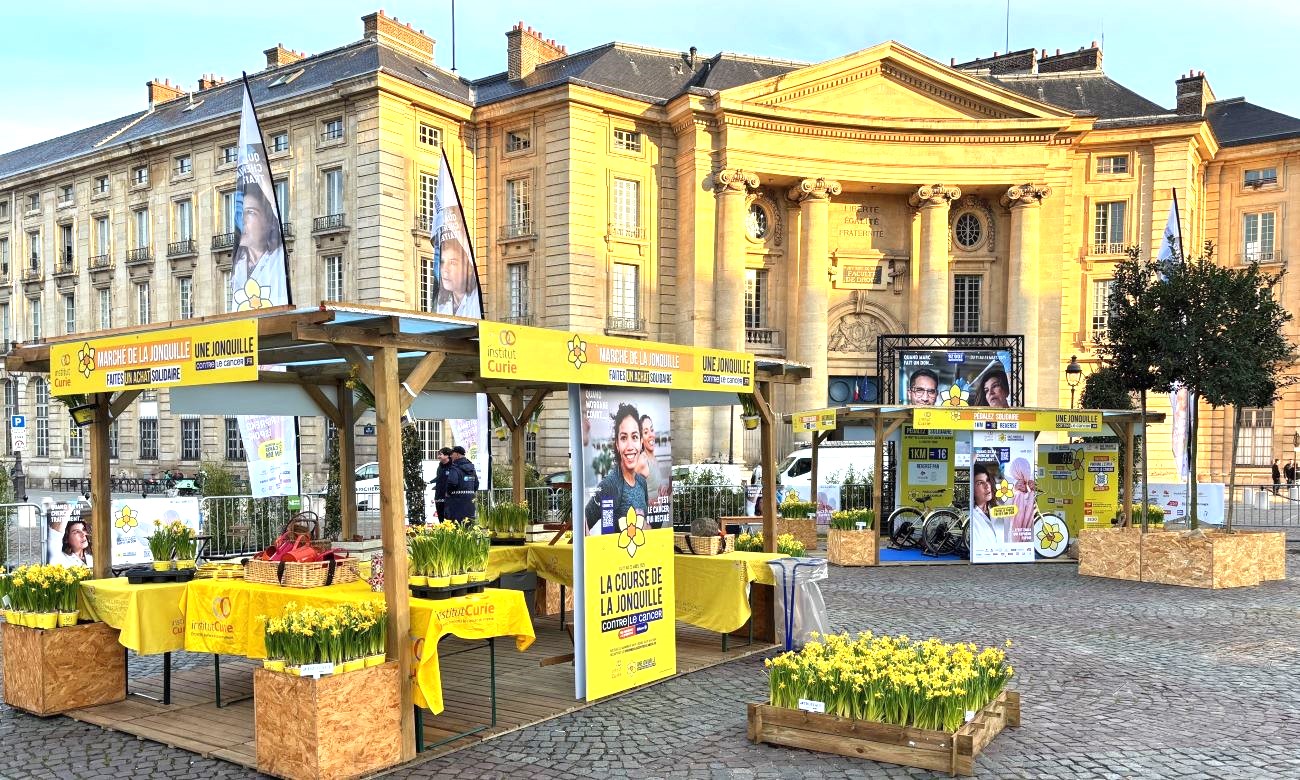 UNE JONQUILLE CONTRE LE CANCER, DES JONQUILLES ET DE L’ESPOIR